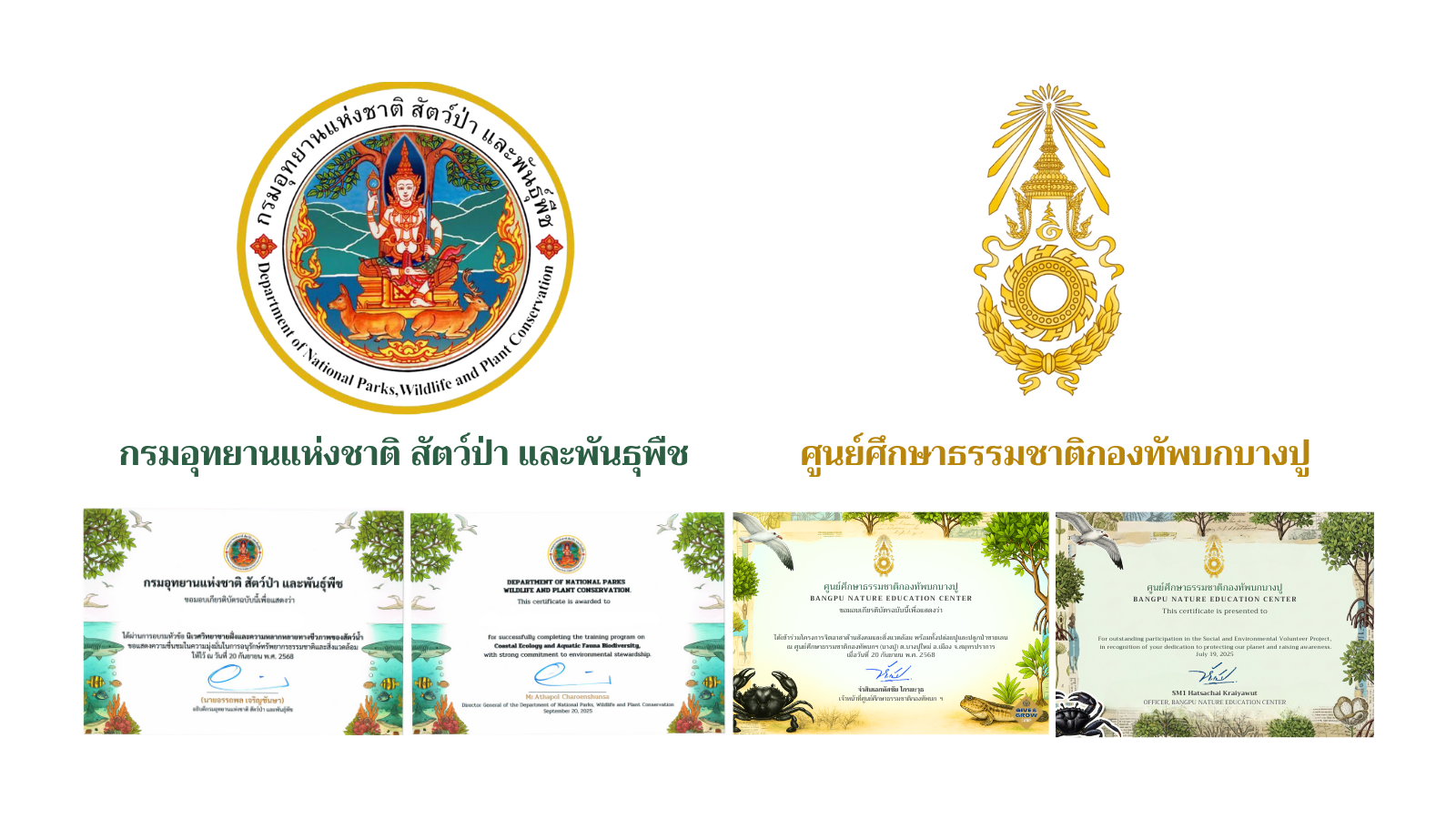 ตัวอย่างเกียรติบัตร Give & Grow Camp รุ่น 6